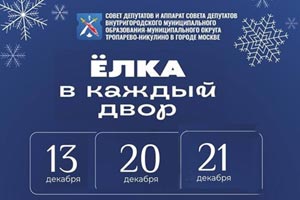 Новогодние дворовые праздничные мероприятия для жителей района Тропарёво-Никулино!